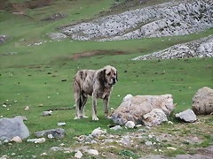 DSC_0235 DSC_0235