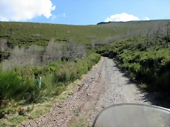 IMG_0196 IMG_0196