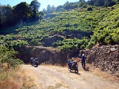 DSCN4142 DSCN4142