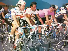 GIRO1987 ,BREUKIN,ROCHE