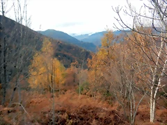 DSCN2173