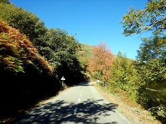 DSCN9173 DSCN9173