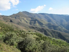 IMG_0211 IMG_0211