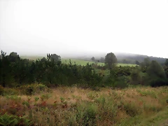 IMG_0226 IMG_0226