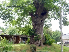 DSCN4457 DSCN4457