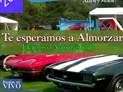 mega muestra mega muestra
