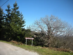 DSCN2943 DSCN2943