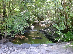 DSCN2104 DSCN2104