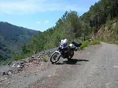 DSCN2102