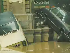 Culopollo inundado