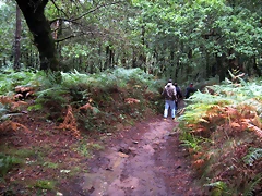 IMG_0584 IMG_0584