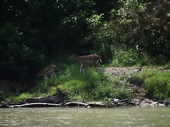 IMG_1246 IMG_1246