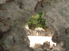 DSC01436 DSC01436