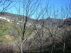 DSCN8036 DSCN8036