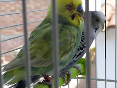 20190721_114020