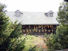 DSCN3571 DSCN3571