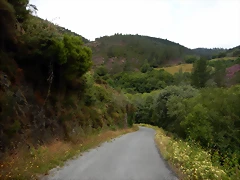 DSCN1311'4 DSCN1311'4