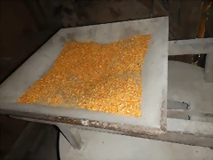DSCN1599 DSCN1599