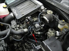 EGR1