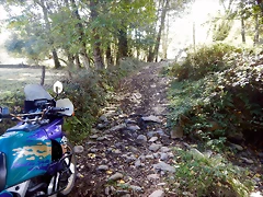 DSCN9137 DSCN9137