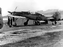 Fw190_D9_soviet_2_GIAP_4