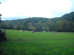 DSCN5380 DSCN5380