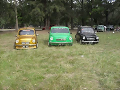 SDC11009 SDC11009
