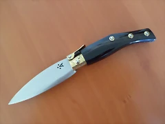 SAM_0768 SAM_0768