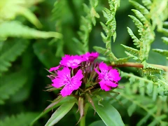 IMG_7457 IMG_7457