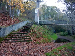 DSCN8982 DSCN8982