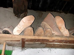 DSCN8975 DSCN8975