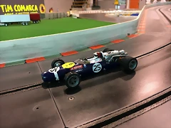 IMG_1428 IMG_1428