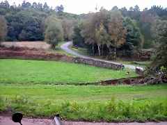 DSCN5354