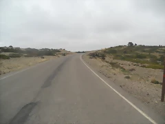 DSCN7961 DSCN7961