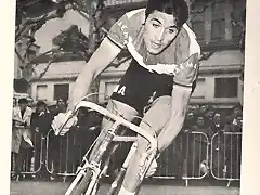 merckx 1