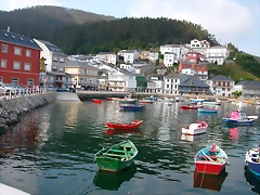DSCN1490 DSCN1490