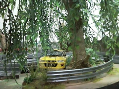 SNC00593 (Small)