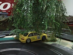 SNC00594 (Small)