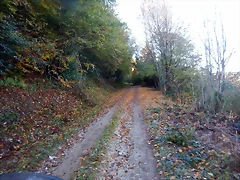 DSCN0026 DSCN0026
