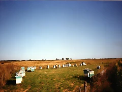 img130