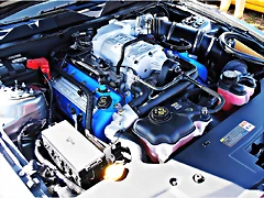 P3230670 P3230670