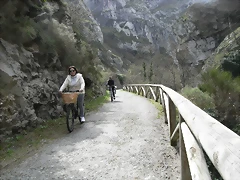 R0012338 R0012338