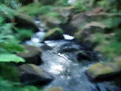 P1010195 P1010195