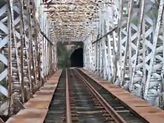 Nuevo puente del manzano.