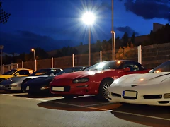 DSC_0519 DSC_0519