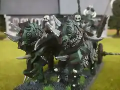 carro nurgle