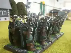 guerreros nurgle (3)