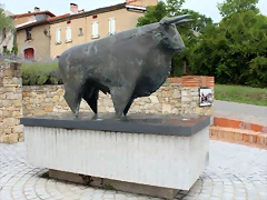 IMG_7085 IMG_7085