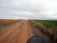 DSCN6471