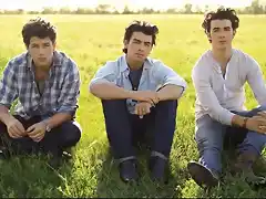 jonas brothers